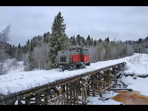 Видео: Зима на Лойгинской УЖД