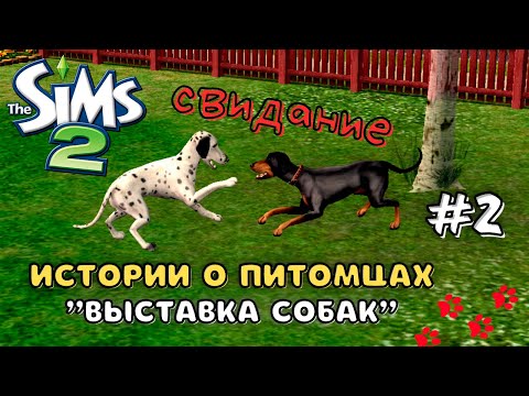 Видео: THE SIMS 2 ИСТОРИИ О ПИТОМЦАХ | СОБАЧЬЕ СВИДАНИЕ, ТОМАС-АКРОБАТ | СЕРИЯ 2