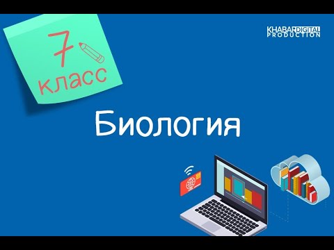 Видео: Биология. 7 класс. Значение транспорта питательных веществ в живых организмах /17.11.2020/