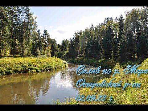 Видео: Сплав по р. Мере Островский р-он. 02.09.23 г.