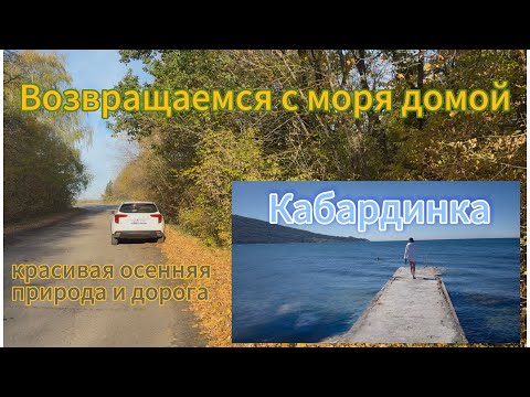 Видео: Красивая осенняя дорога с моря на машине домой.