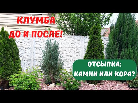 Видео: 🌲 Как сделать отсыпку камнем. Что лучше КОРА или КАМНИ? КЛУМБА - До и после! Бурьян не растёт!