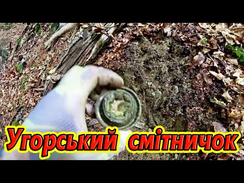 Видео: WWII Metal Detecting. / Коп по війні в Карпатах. ( 70 )