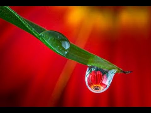 Видео: Советы по фотографии для начинающих — 5 потрясающих советов по улучшению ваших фотографий