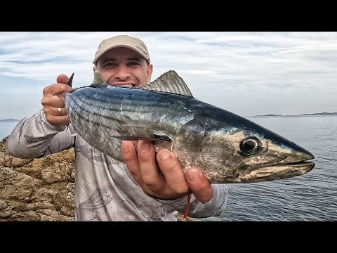 Видео: ПАЛАМУДИ ЛУДИ! Обратно на Скалите за Туруци!!!!!