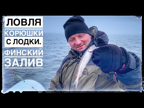 Видео: ловля корюшки с лодки на финском заливе