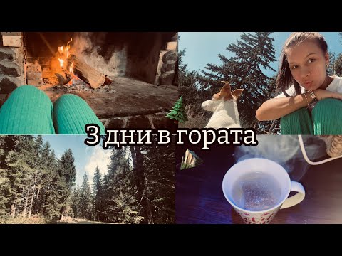 Видео: З ДНИ В ГОРАТА | Влог | Теодора Аргирова