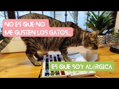 Видео: 🇪🇸No es que no и es que для оправданий