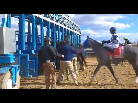 Видео: R2 AQUEDUCT США 16 ноября 2025 г.