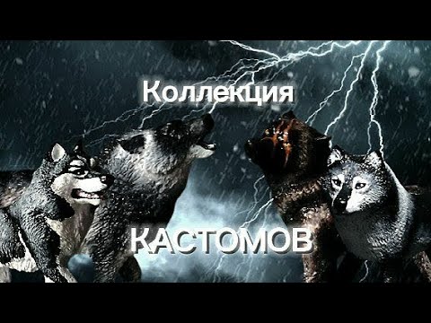 Видео: Коллекция кастомов / самолепов волков и собак  | Schleich обзор✨🍷