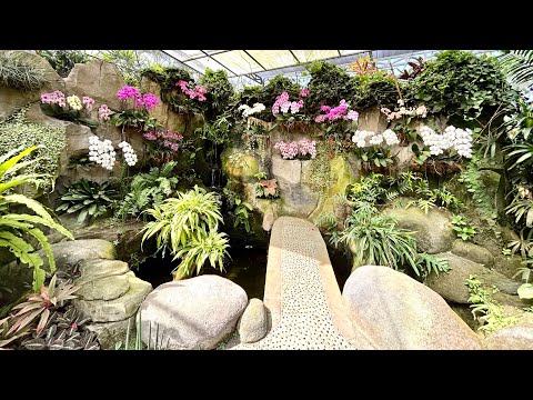 Видео: Орхидейный Рай (Bali Duta Orchid garden)
