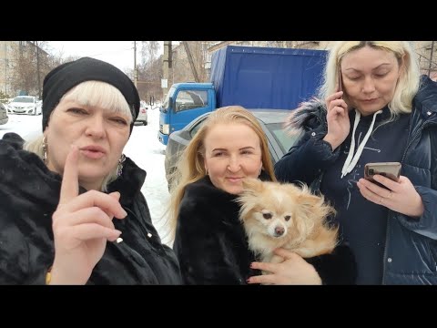 Видео: Грев Литве и встреча с близкими!