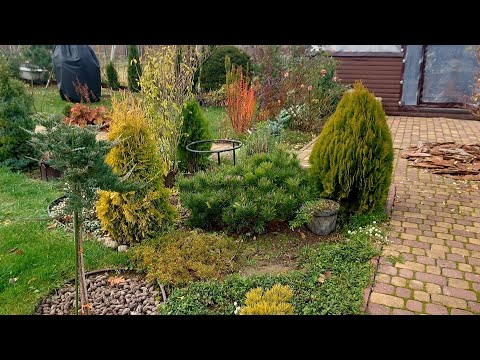 Видео: Дача не отпускает🙃, даже в ноябре все ещё есть работа 🍁🍂🍁#дачныехлопоты