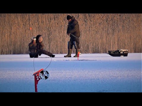 Видео: ПОСТАВИЛИ ЖЕРЛИЦІ І ОПУСТИЛИ КАМЕРИ ПІД ЛІД. Зимова рибалка на жерлиці