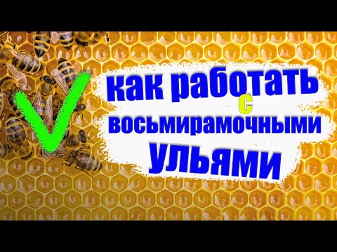 Видео: Теория и практика работы с восьмирамочными  ульями, как расширять и доставлять корпуса