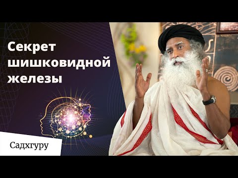 Видео: Состояние, в котором все происходит без усилий