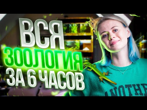 Видео: Вся зоология за 6 часов | Биология ЕГЭ — Напольская Ксения