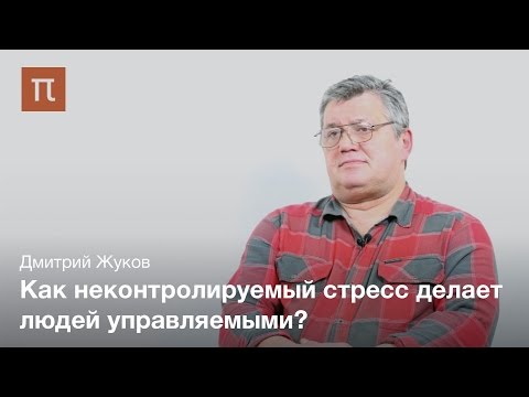 Видео: Неконтролируемый стресс - Дмитрий Жуков