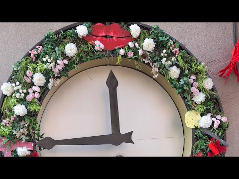 Видео: World of wildlife Мир природы в прямом эфире!