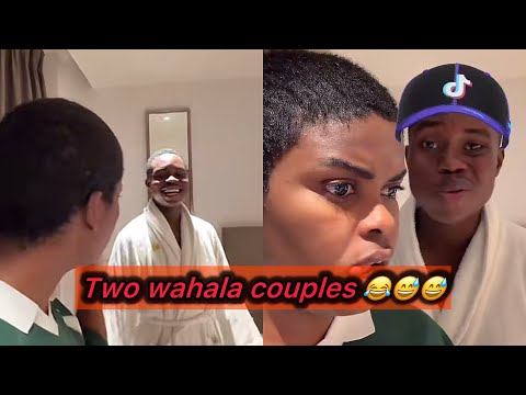 Видео: Пеллер и Джарвис Том и Джерри Палава