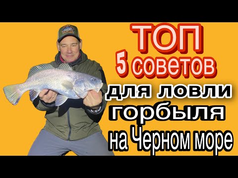 Видео: Советы для ловли горбыля на Черном море.