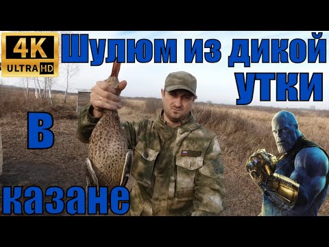Видео: Шулюм из дикой утки в казане на природе!