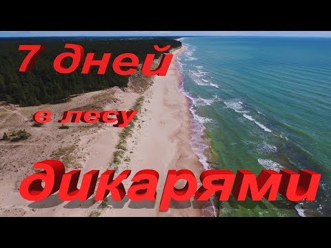 Видео: 7 дней в лесу дикарями. 3 серия.