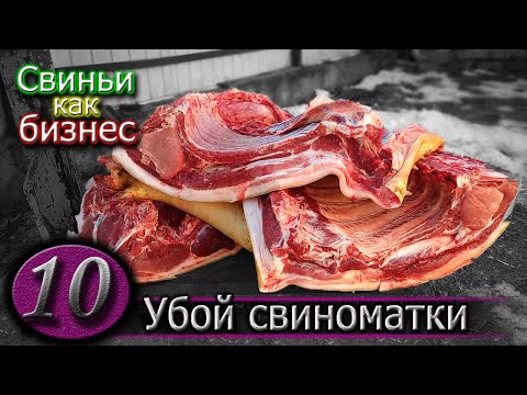 Видео: Коротко о породах: дюрок, ландрас и крупная белая