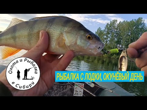 Видео: второй выезд на Кан за Ашкаул Канский район Красноярского. рыбалка с лодки. окунёвый вечерок.