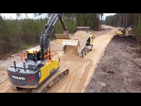 Видео: Я вернулся в лес