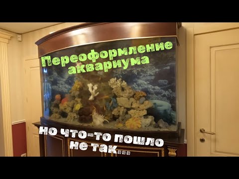 Видео: Новая ПЕРЕБОРКА очередного АКВАРИУМА  #аквадизайн  #аквариум  #оформлениеаквариума #aquarium