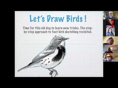 Видео: Как начать рисовать птицу