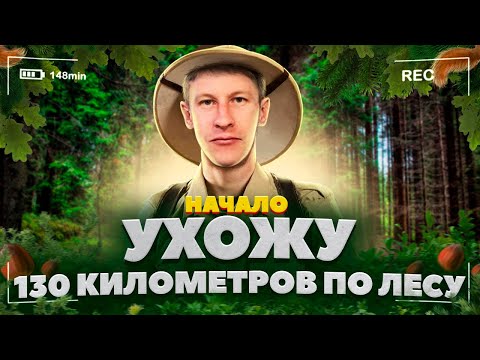 Видео: В ПОИСКАХ МЕДВЕДЕЙ. 130км АДРЕНАЛИНА #1