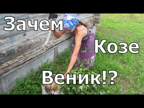 Видео: Сколько сена и веников нужно козам на зиму