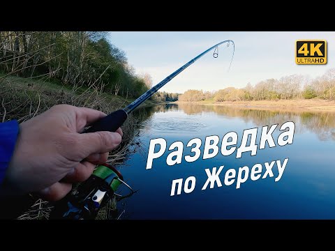 Видео: Проверил речку на клёв Жереха  Спиннинг с берега, рыбалка весной 2023