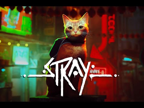 Видео: Продолжаем играть за кошкуlИграем в Stray