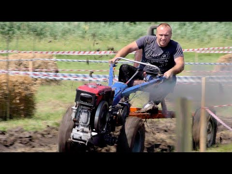 Видео: Тракторфест-2019, гонки на мотоблоках!