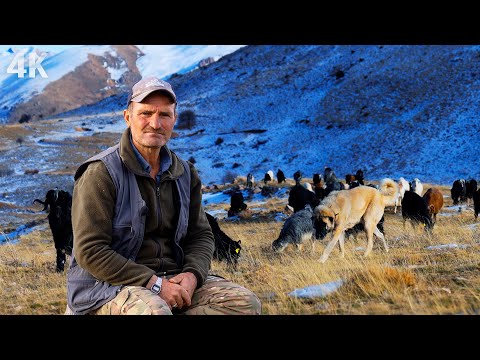 Видео: Жизнь на плато у подножия Турецкой горы - Зима приближается к деревне | Документальный-4К