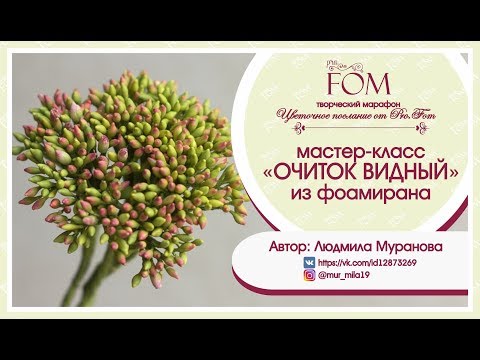 Видео: Мастер-класс "Очиток видный из фоамирана" - Людмила Муранова
