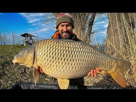 Видео: Монстр ледве не затягнув у воду, Вовкове Озеро