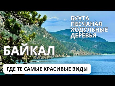 Видео: БАЙКАЛ. Ходячие деревья. Открыточные виды. Бухты Песчаная и Бабушка - однодневный круиз на #байкал