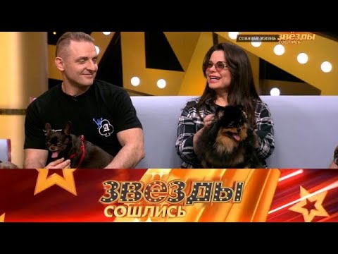 Видео: Звезды сошлись 2025 😂 Выпуск от 24.09.2025 «Собачья жизнь »  Передачи НТВ