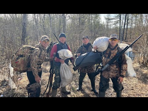 Видео: Сааскы кус 2025🦆💥🙌🏻 #duckhunting #рыбалка #весенняяохота #travel #охотаирыбалкавякутии
