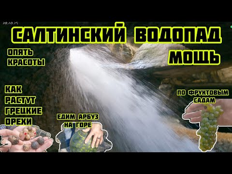 Видео: Салтинский Водопад мощь красота, как растет грецкий орех, фруктовые сады, повсюду красота 20.10.2025
