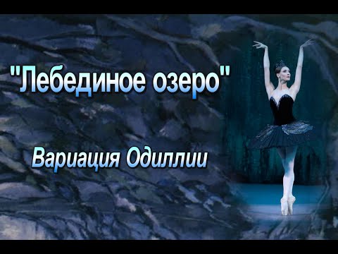 Видео: П. И. Чайковский «Лебединое озеро». Вариация Одиллии и кода из III акта балета