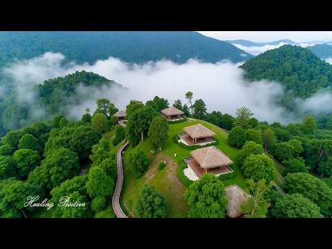 Видео: Красивая расслабляющая музыка - хватит думать, музыка для снятия стресса №10