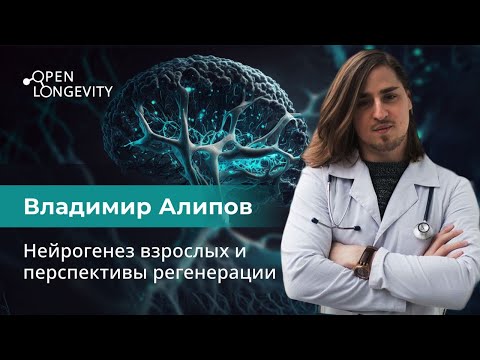 Видео: Владимир Алипов: Нейрогенез