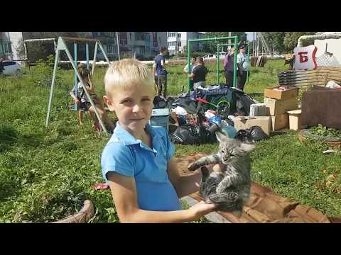 Видео: Пожар в многоквартирном доме в поселке Буревестник.