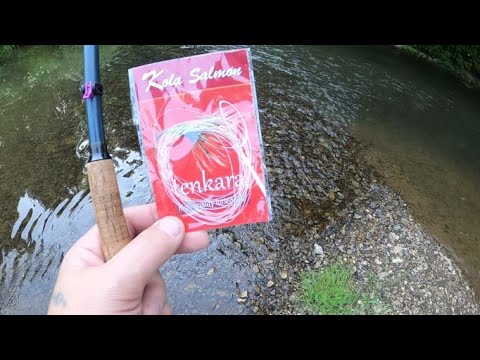 Видео: Шнур для тенкары Kola Salmon