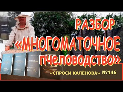 Видео: Многоматочное Пчеловодство - Разбор. Преимущества и недостатки. Почему МЁДА бОльше, а РОЕНИЯ Нет!